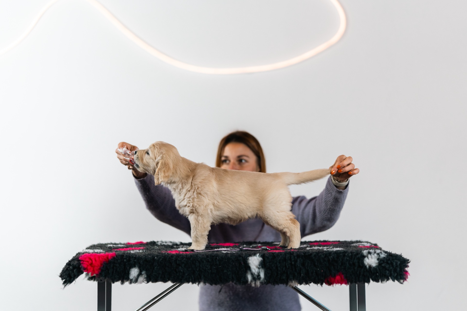 Burning Star Raspberry Kingdom - Nora