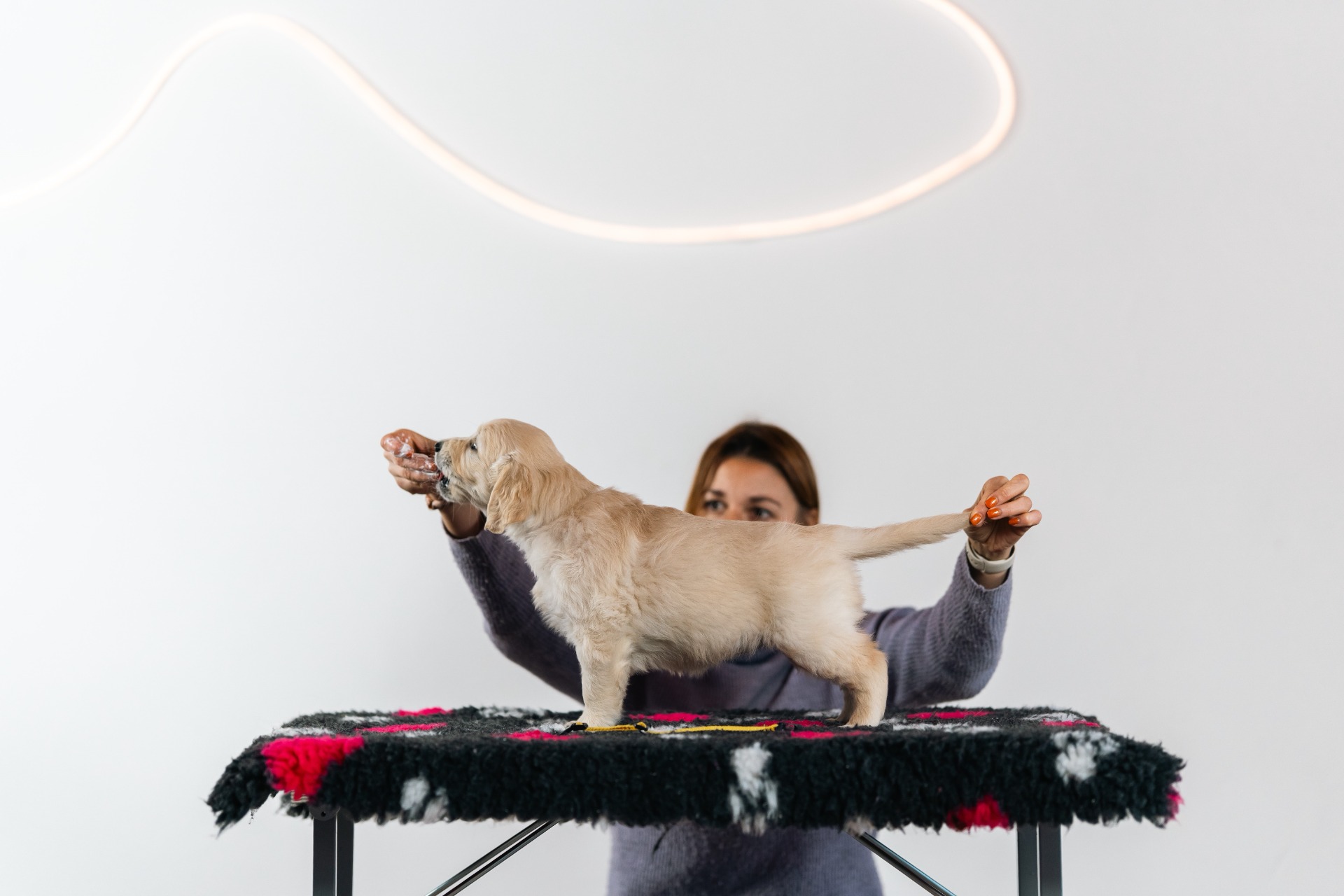 Beautiful Soul Raspberry Kingdom - Iris