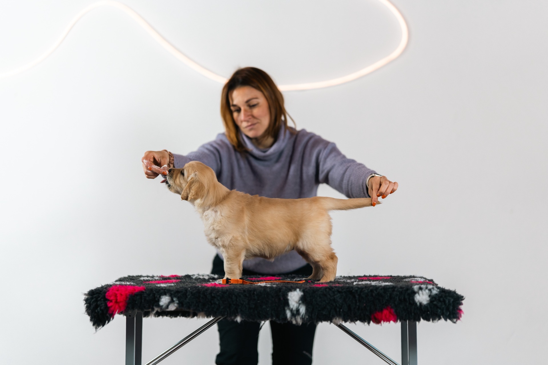 Bright Diamond Raspberry Kingdom - Bria