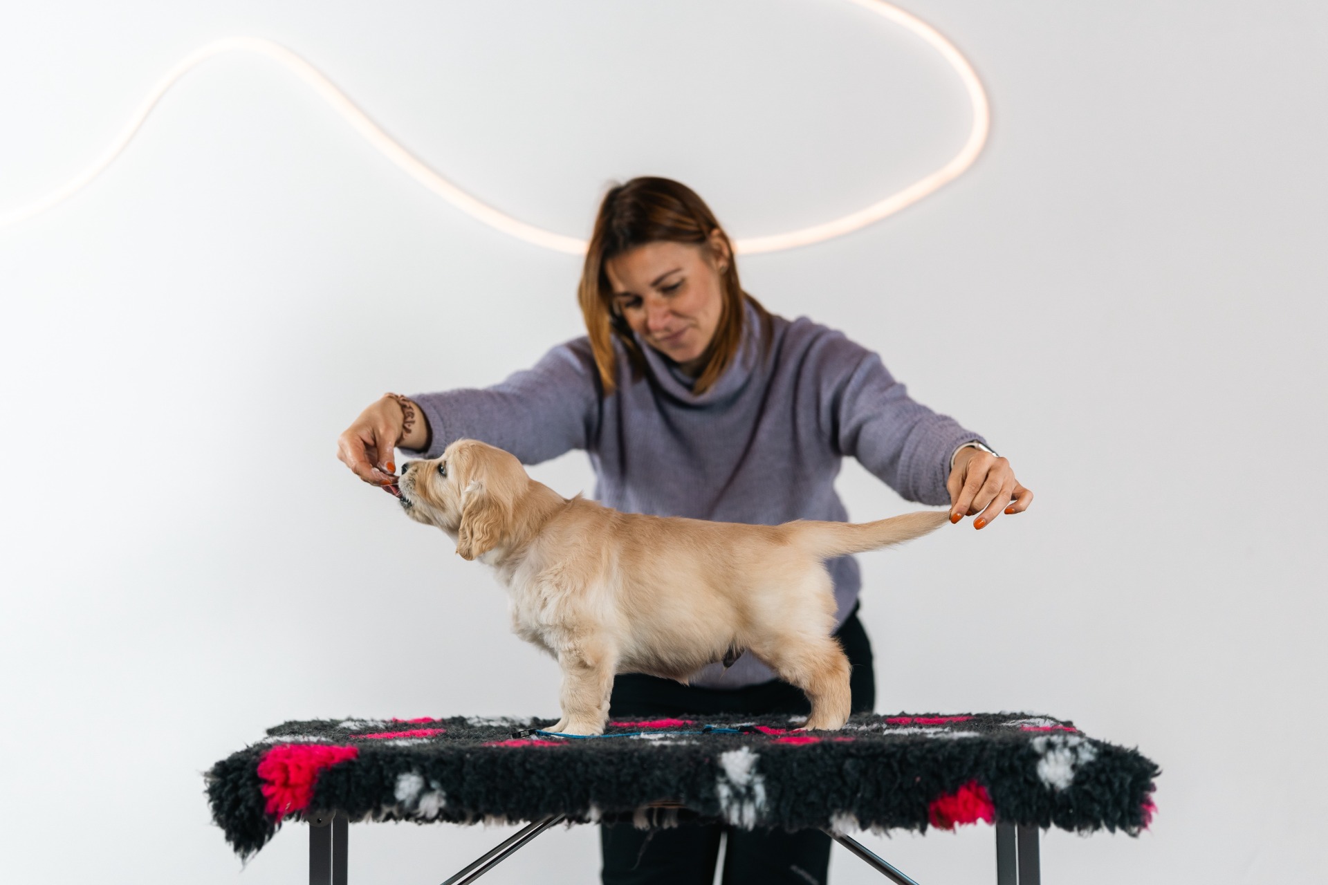 Bilbo Baggins Raspberry Kingdom - Bilbo