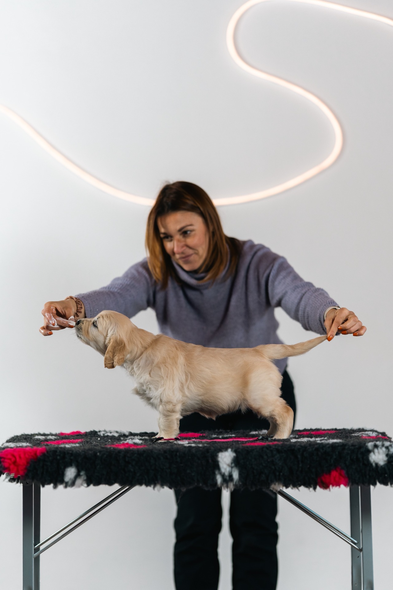 Butter Cookies Raspberry Kingdom - Vanilka